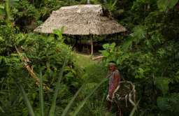 Demencja to rzadkość wśród rdzennych mieszkańców Amazonii. Badacze chcą poznać ich sekret