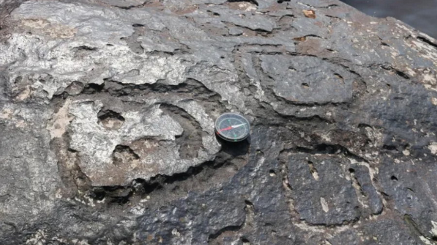 Susza w Amazonii odsłoniła setki pradawnych petroglifów