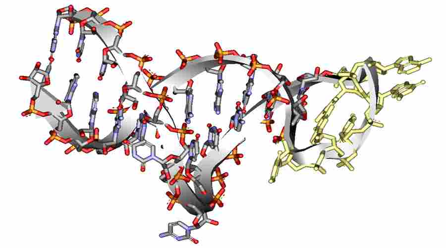 Struktura 3D RNA