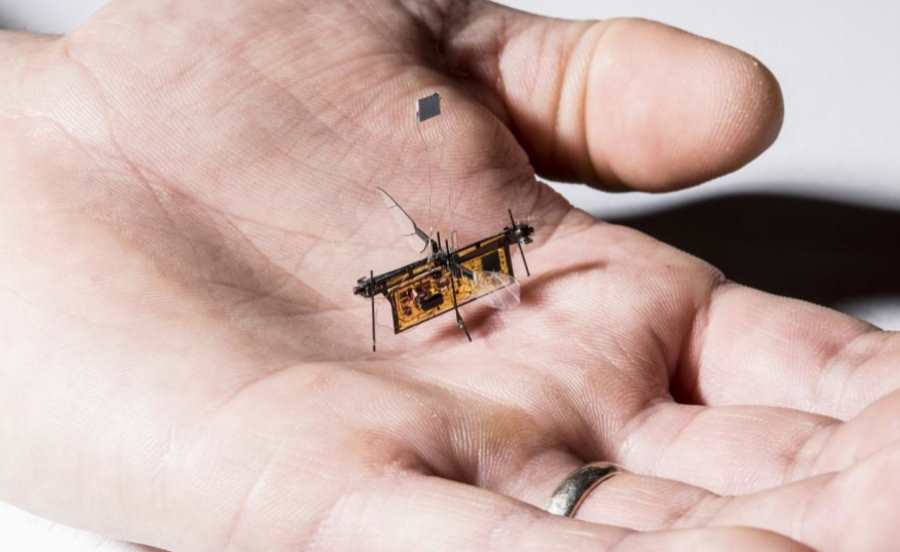 RoboFly - latający robot o rozmiarach owada