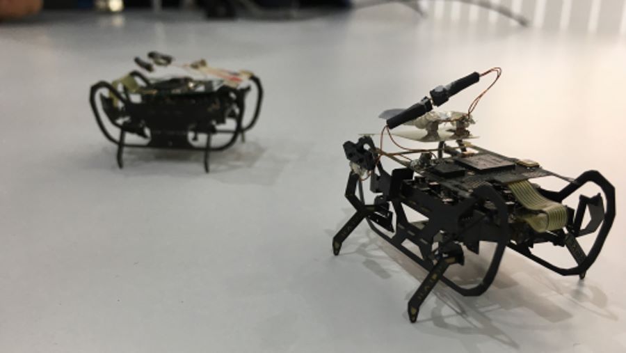 Robot-karaluch od Rolls-Royce’a
