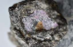 Ślady życia sprzed 2,5 miliarda lat odkryte wewnątrz rubinu