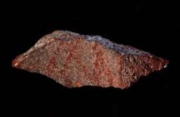 Kawałek skały zawierający najstarszy znany rysunek człowieka
