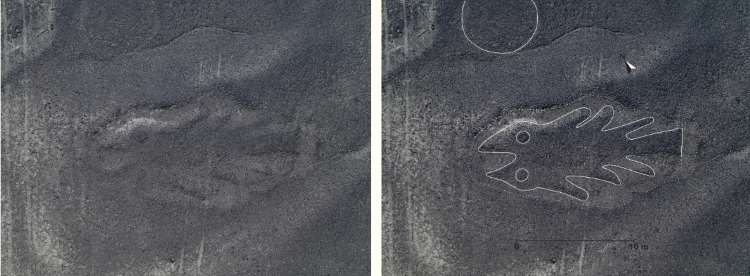Nowe rysunki z Nazca