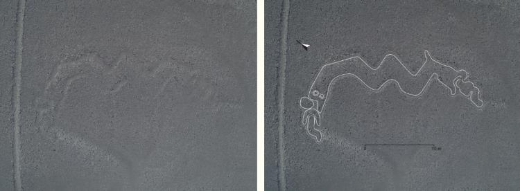 Odkryto nowe geoglify z Nazca