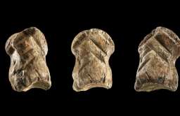 Neandertalskie dzieło sztuki sprzed 51 tys. lat