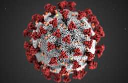 Polscy uczeni odtworzyli SARS-CoV-2. Wirus nie stanowi zagrożenia i pozwoli na bezpieczne badania