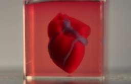 Sztuczne serce z drukarki 3D