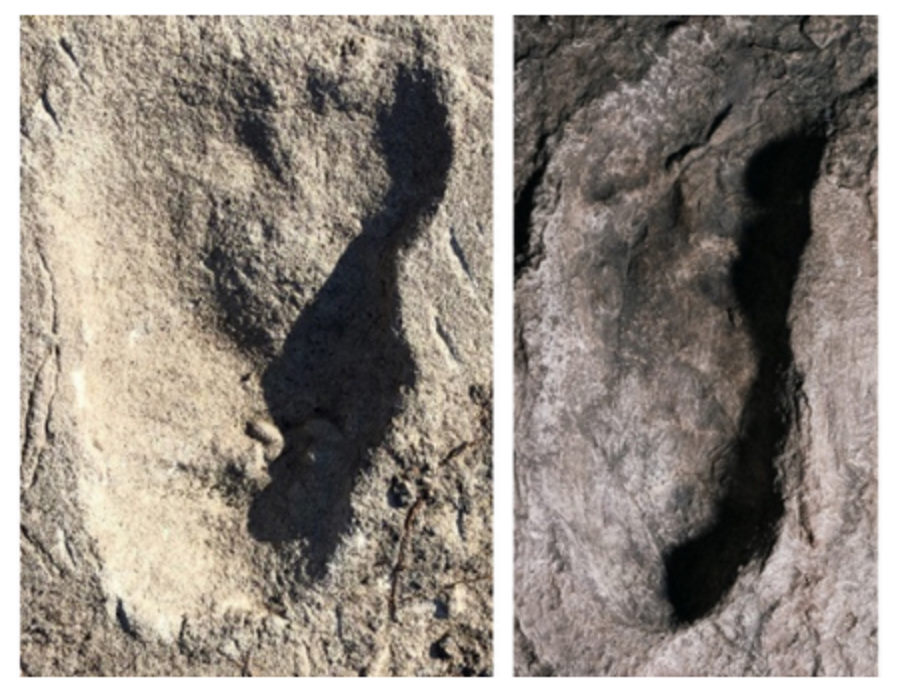 Ślady stóp sprzed blisko 3,7 miliona lat mógł pozostawić nieznany przodek człowieka