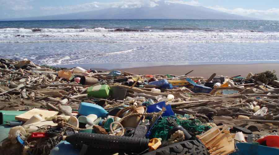 Śmieci wyrzucone na plażę