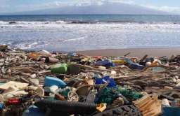 Śmieci wyrzucone na plażę
