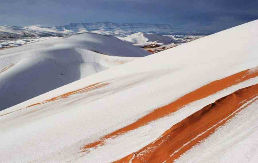 Śnieg na Saharze
