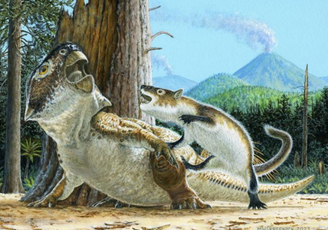 Pradawne ssaki polowały na dinozaury