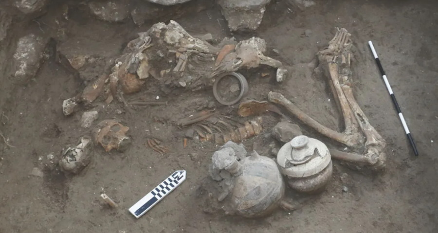 W Izraelu odkryto ślady po nieudanej próbie operacji mózgu sprzed 3500 lat