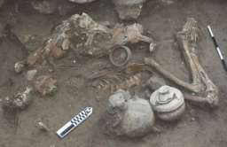 W Izraelu odkryto ślady po nieudanej próbie operacji mózgu sprzed 3500 lat