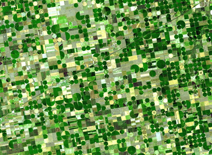 Satelitarny monitoring upraw – czym jest i czy warto z niego korzystać?