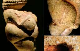 Naukowcy ustalili pochodzenie Wenus z Willendorfu