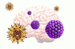 Dwa powszechne wirusy mogą prowadzić do choroby Alzheimera