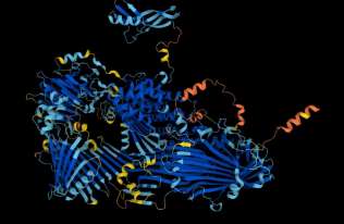 Sztuczna inteligencja przewiduje kształt prawie każdego znanego nauce białka