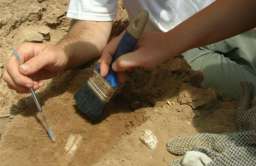 Egipskie ozdoby sprzed 3,5 tys. lat znalezione na Warmii