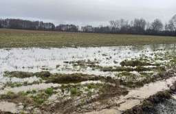 Wysokie stany wód w rzekach to korzystna sytuacja dla bilansu wodnego Polski