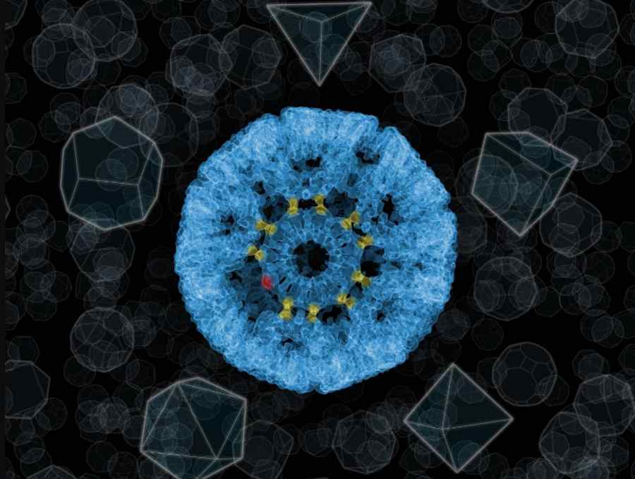 Molekularna nanoklatka z 24 pierścieni białkowych